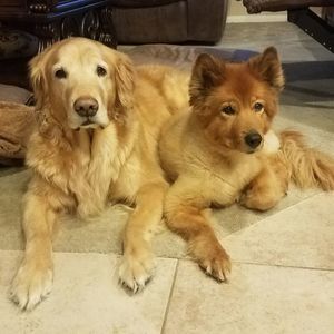 Meet your Posher, Jacquelyn